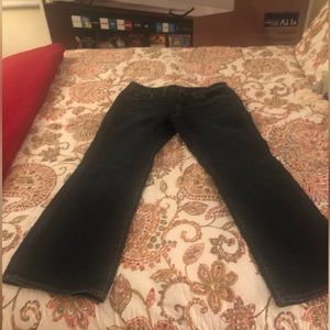 Coldwater Creek five pocket petite blue jeans,good condition,boot cut.